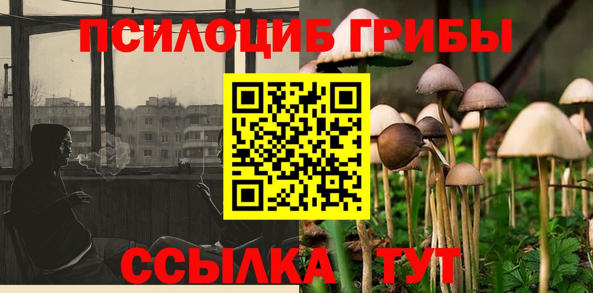 Галлюциногенные грибы Psilocybine cubensis  Вход с VPN  Апатиты 
